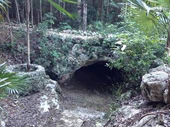 Cavelands In The Jungle