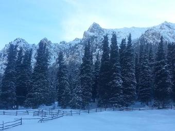 ??? ? ????? ????? ??????