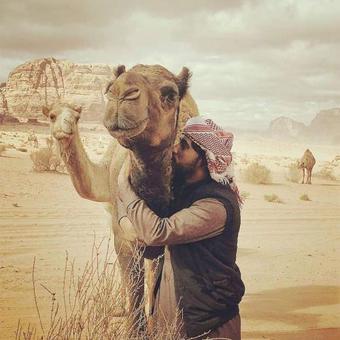 Bedouin Camp Under The Stars
