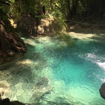 Bed & Breakfast Palm Yard