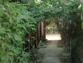 Hostal El Jardin Zipolite Bungalows