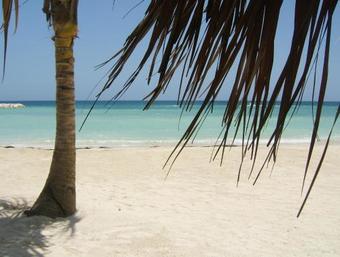 Hotel Grand Palladium Jamaica Resort & Spa All Inclusive