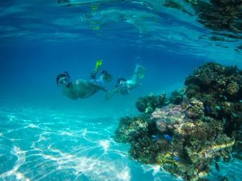 Aramoana On The Beach