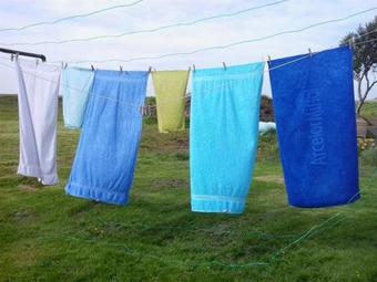 Bed & Breakfast Dalssel Farm Guesthouse