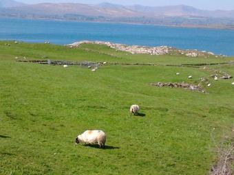 Westland Apartment No. 2