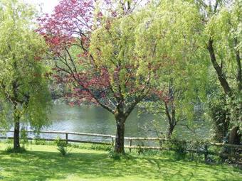 Innishannon House Hotel