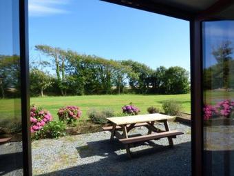 The Owl's Hoot, Tacumshane