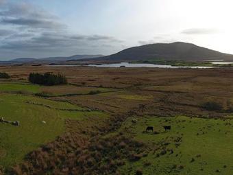 Cottage 317 - Recess