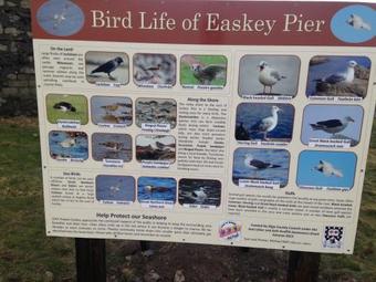 Atlantic 'n' Riverside B&B