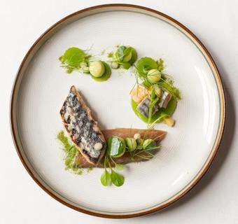 Hotel Mount Falcon Estate