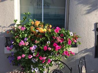 Hostal Brogans Bar & Guesthouse