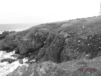 Hostal Faina Guest House