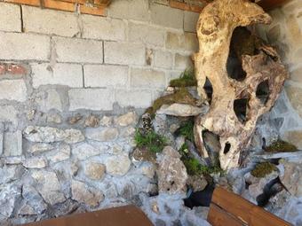 Hostal Karadzhovata Kashta