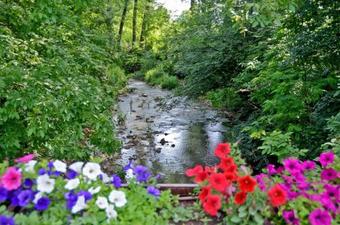 Hotel White Horse Complex