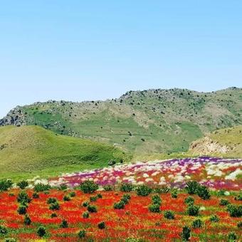 Bed & Breakfast Areni Wine Art