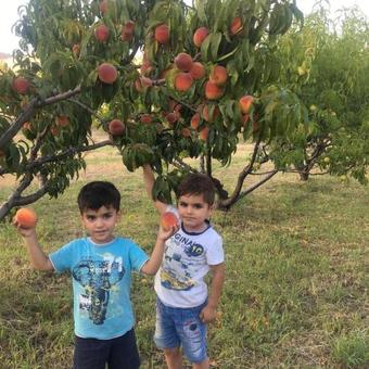 Hostal Areni Wine Cellar