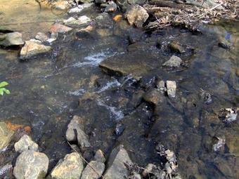 Ocoee River Area Twin Creeks