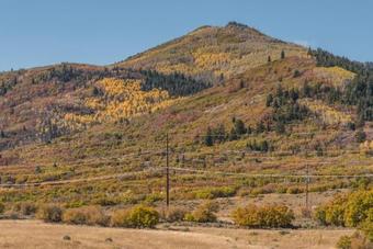 Apartamento Deer Park Condo #303