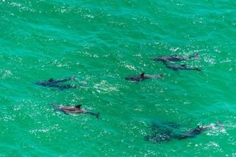 Jim's Gem By Realjoy Vacations