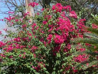 Casa Del Sol Bed And Breakfast