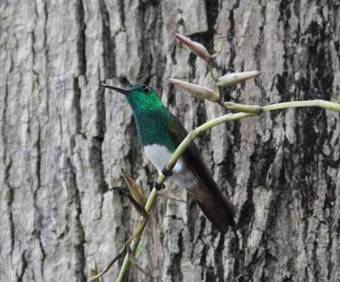 Hotel Perla Real Inn