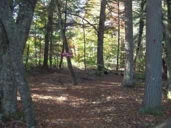 Motel Wiscasset Woods Lodge