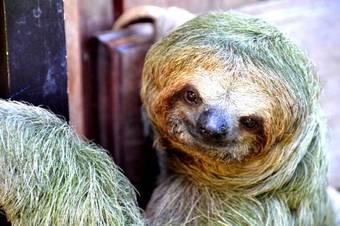 Finca Villa Tina Lodge