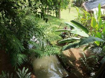 Lodge Estaci�n Biol�gica Tamandua