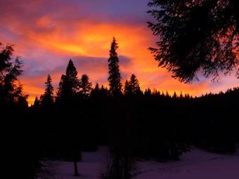 Yosemite Lodging At Big Creek Inn B&B