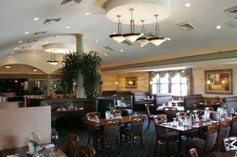 Hotel Four Points By Sheraton Chicago O'hare