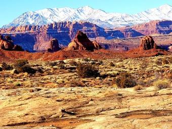 Abajo Haven Guest Cabins