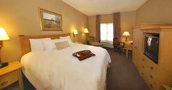 Hotel Hampton Inn & Suites Phoenix-goodyear
