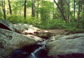 Hotel Atlanta Evergreen Marriott Conference Resort