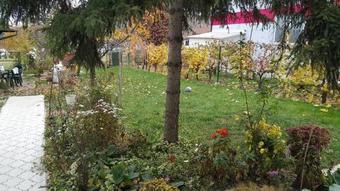 Sweet Dreams Apartment