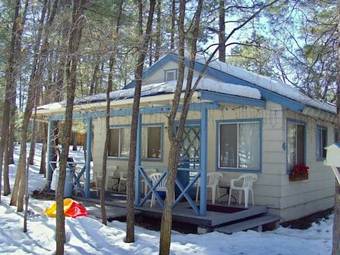 Northwoods Resort Cabins