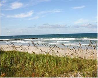 Hotel Ocean Trillium Suites