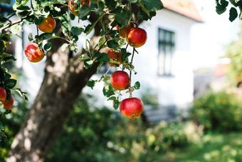 Hostal Urshult Hotell