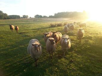 Bed & Breakfast K�rsb�rsg�rden Rum & Frukost