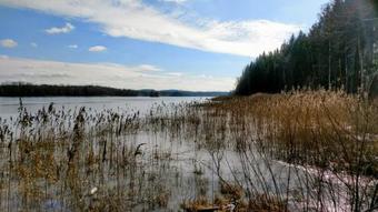 Hostel Kronobergshed