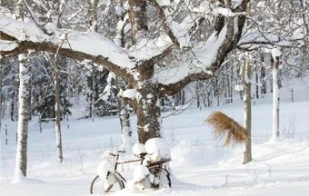 Holiday Home Hestra 18