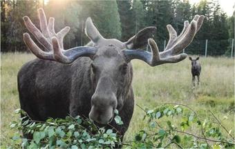 Three-bedroom Holiday Home In Eksharad