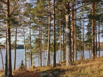 Holiday Home �rj�ng II