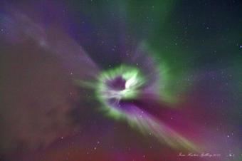 Ribo Apartment Katterj�kk