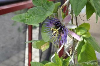 Hylteberga G�rd Bed & Breakfast