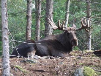 Hostal J A Ranch Bed & Breakfast