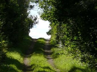 Hostal Swedish Idyll