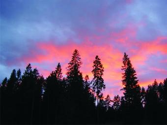 Villa Luna Breakfast Hotel