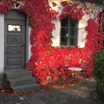 Borreg�rden Bed & Breakfast