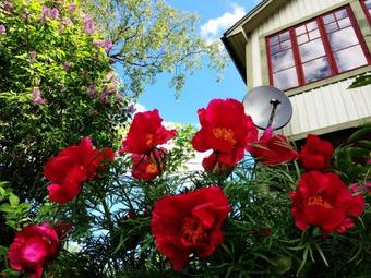 Bed & Breakfast Sweden Slow Living