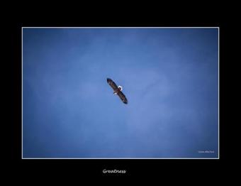 Hotel Lannavaara Lodge